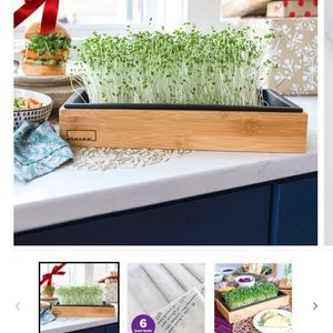 Hamama greens plastic and bamboo tray set